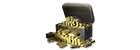 2000 Gold